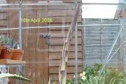 16th April