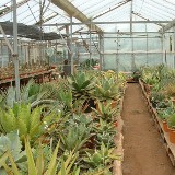 Warm Greenhouse