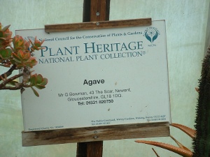 agave national collection