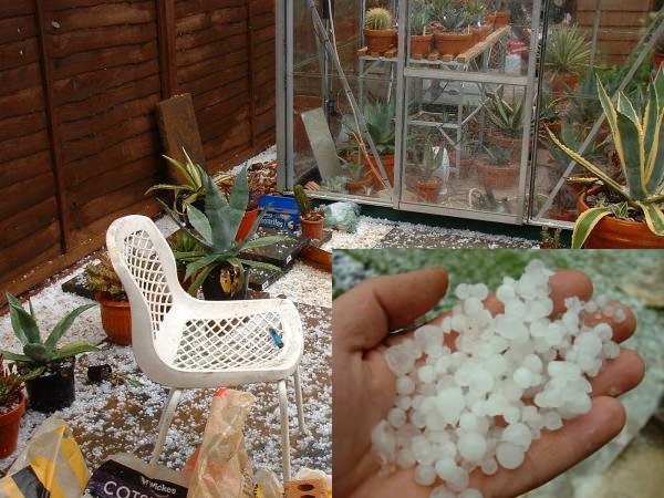 Hail Stones in May